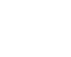 logo_300-1